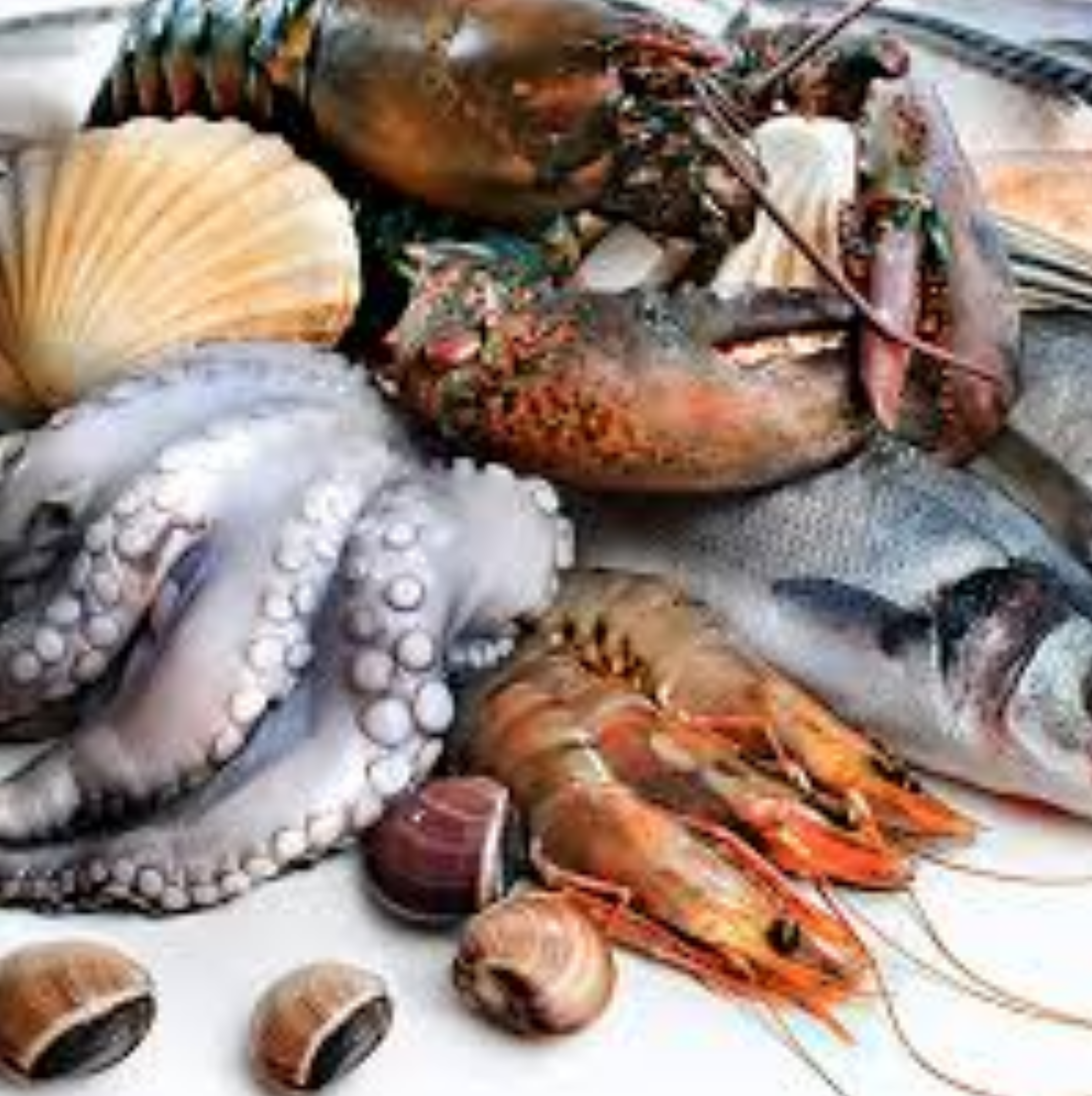 produit de la mer en vente directe