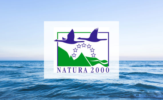 Natura 2000, son historique