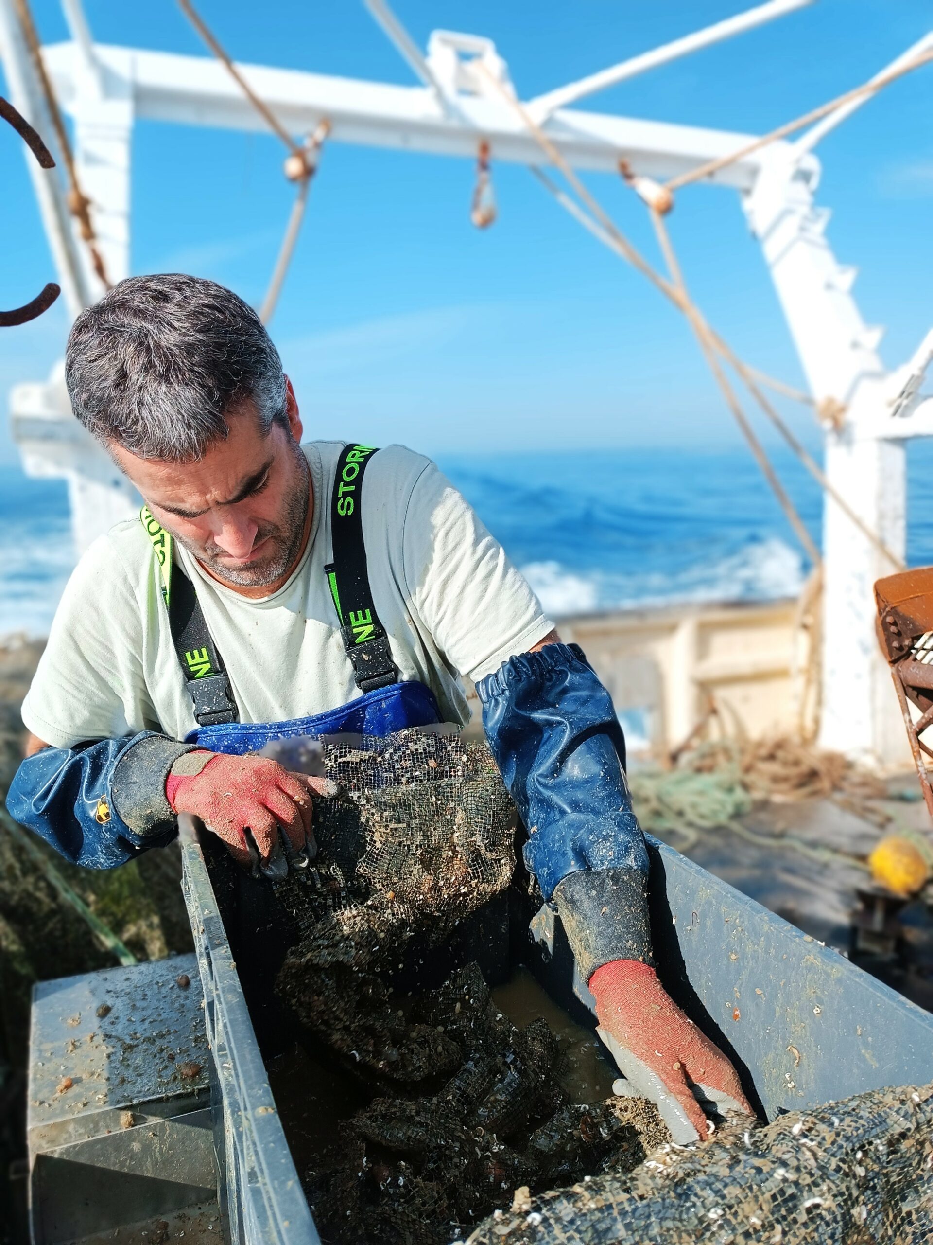 Programme COSB CDPMEM 22