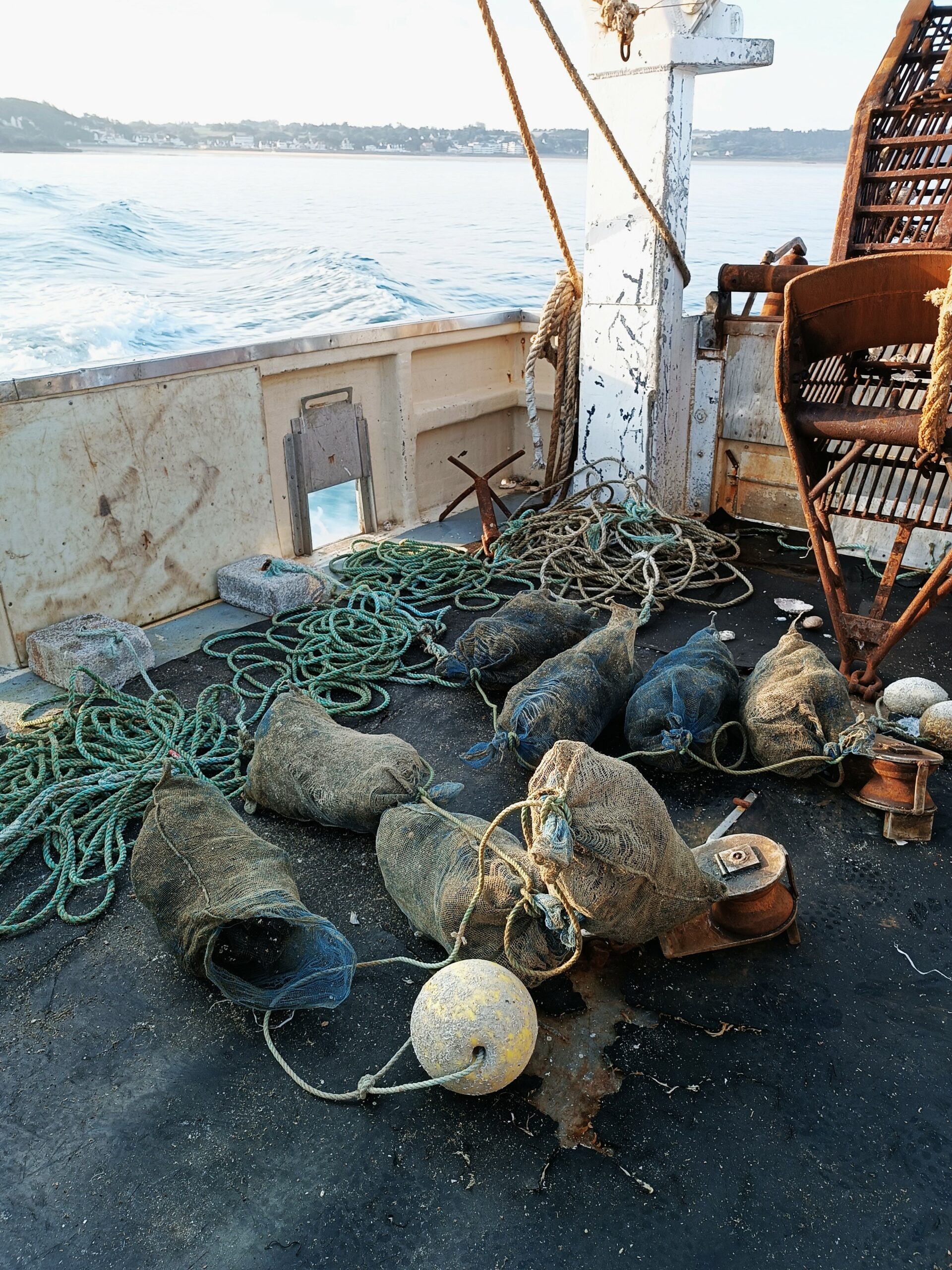 Campagne COSB en baie de Saint-Brieuc