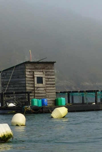 Élevages marins