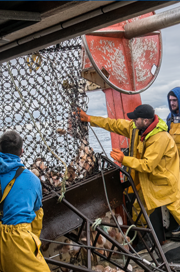 Pêche côtière