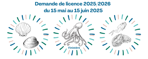 Demande de licence 2025/2026 du 15 mai au 15 juin 2025